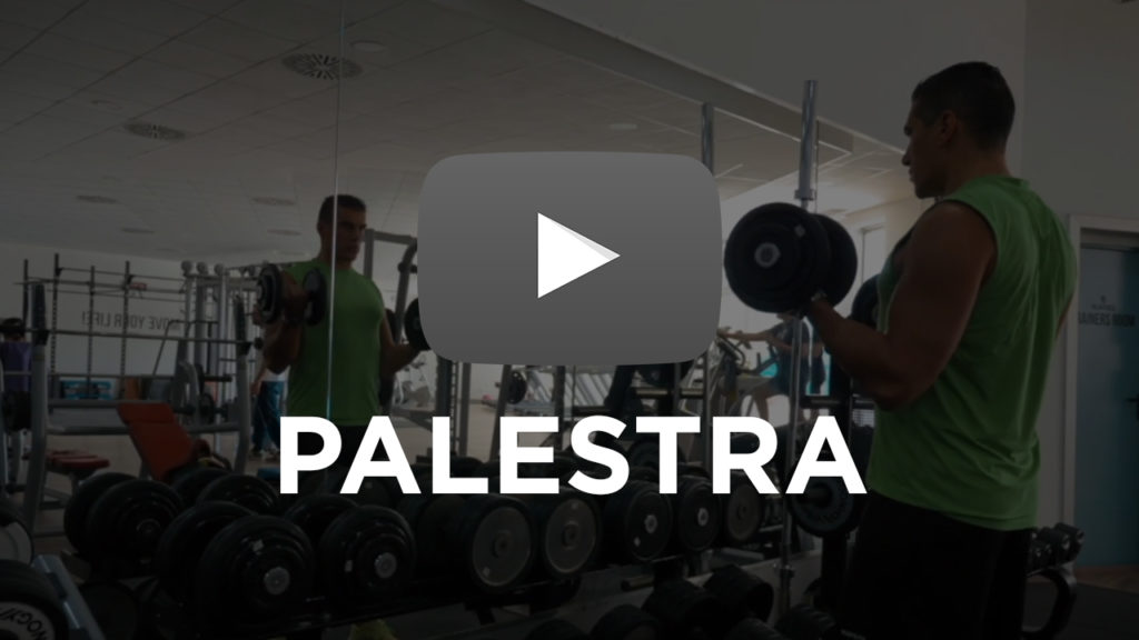 video palestra